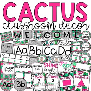 Bundel klaslokaaldecoratie cactus