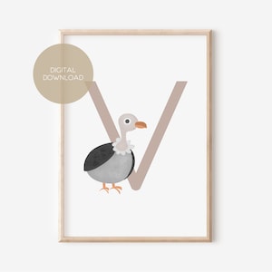 V - VULTURE / Anglais / ABC, Alphabet, Lettre, Animal, Nom / Nursery Poster / Digital Download