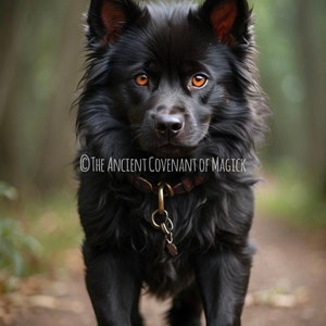 Hellhound Puppy - Spirit Companion to raise and train yourself for protection, justice and revenge