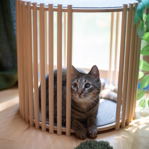 round cat condo
