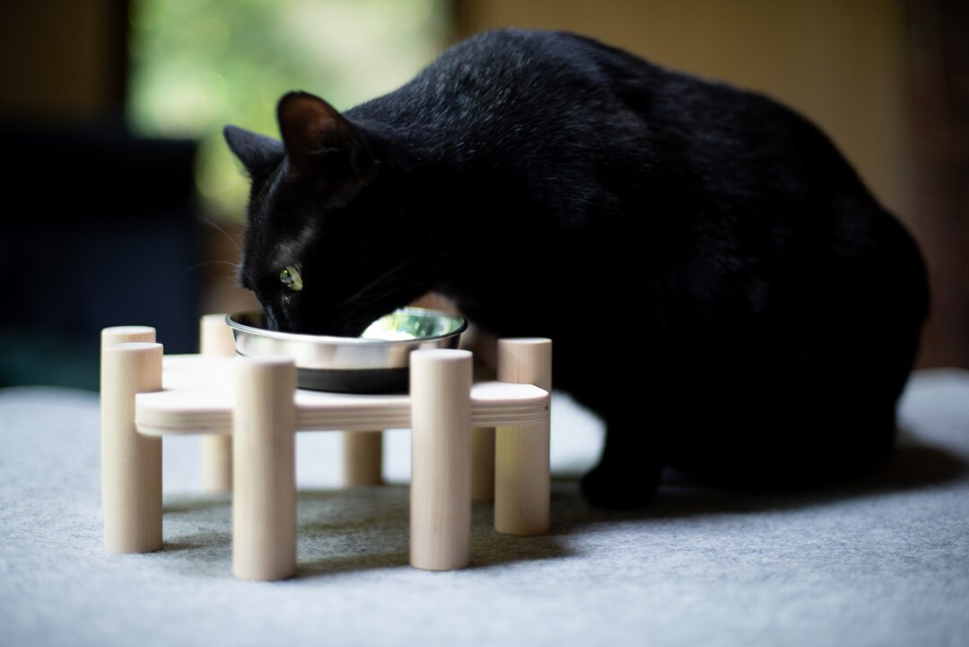 Cat Single Dining Table, Cat Raised Feeder, Cat Elevated Bowl, Wooden