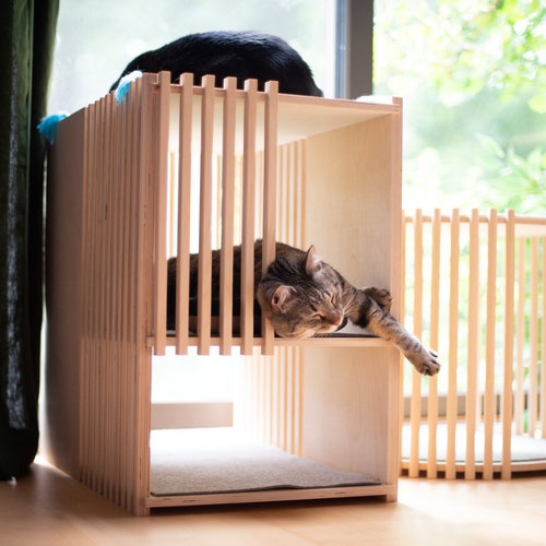 Etsy Design Awards Winner 2022 Rectangular Cat House Large Etsy