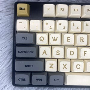 Könnte beinhalten: Eine schwarze mechanische Tastatur mit beige und grauen Tasten. Die Tasten haben schwarze Beschriftung und beinhalten die Standardtasten wie ESC, TAB, CAPS LOCK, SHIFT, CTRL, WIN, ALT, F1, F2, F3, QWERTY, ASDF und ZXC.