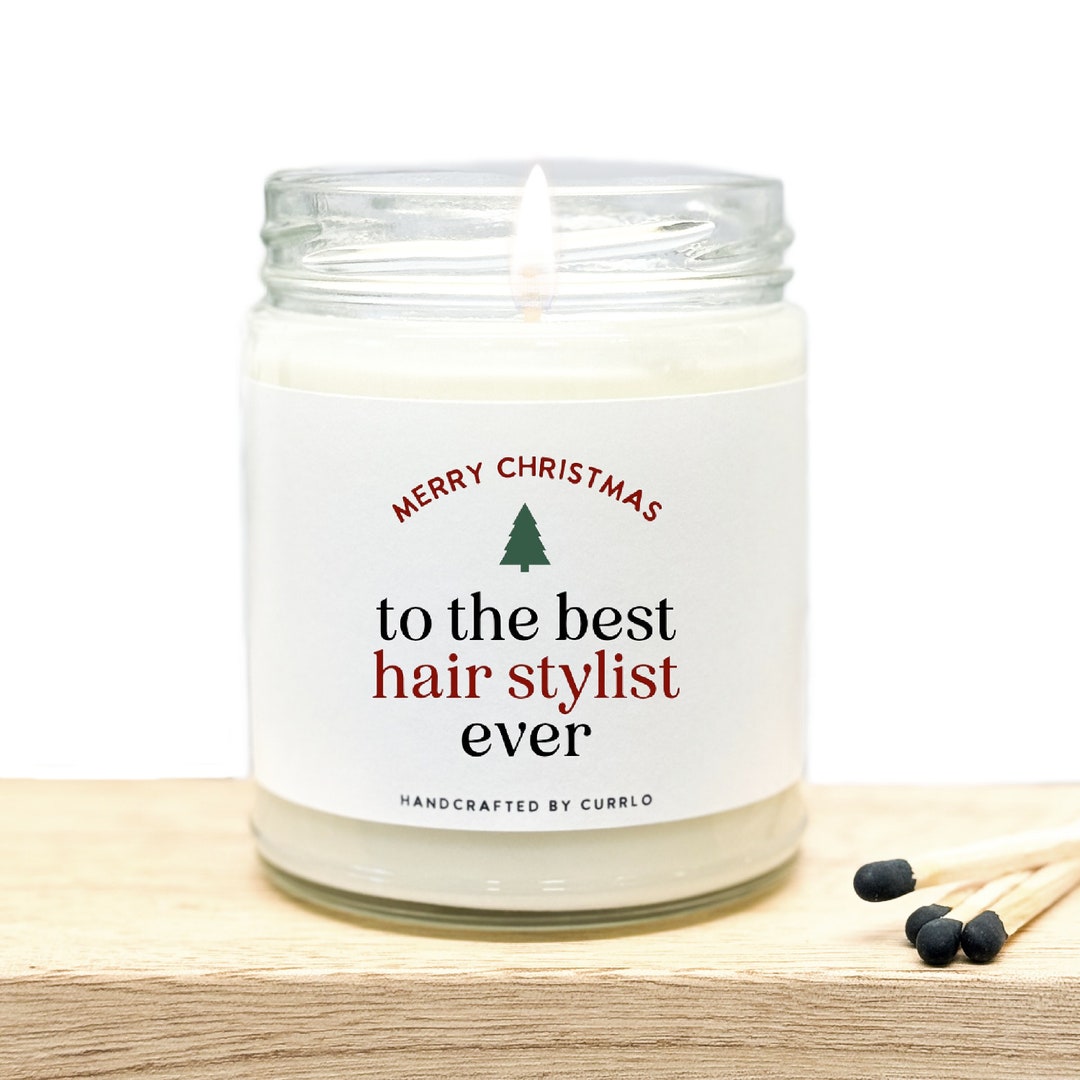 Hair Stylist Gifts Merry Christmas Hair Stylist Small Gifts for Hair