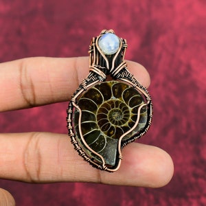 Ammonite Fossil & Rainbow Moonstone Copper Wire Wrapped Pendant