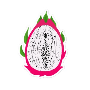 Dragonfruit sticker by Vagifruit | FREE SHIPPING cute fruit stationary colorful lesbian pride gift accessories gay flagging queer femme