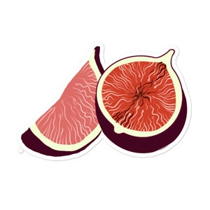 FIG STICKER by Vagifruit | FREE shipping stationary fruit | colorful lesbian pride gift accessories gay flagging queer femme fashion