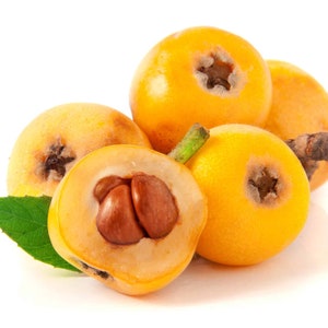 loquat fruit seeds from my garden | free shipping | sweet yellow organic | Eriobotrya japonica níspero | fruit trees exotic fruit