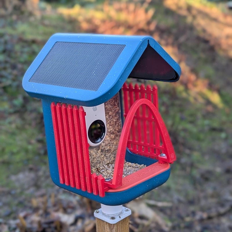 Bird in Cage - Etsy - Indoor Bird Cage With Protection