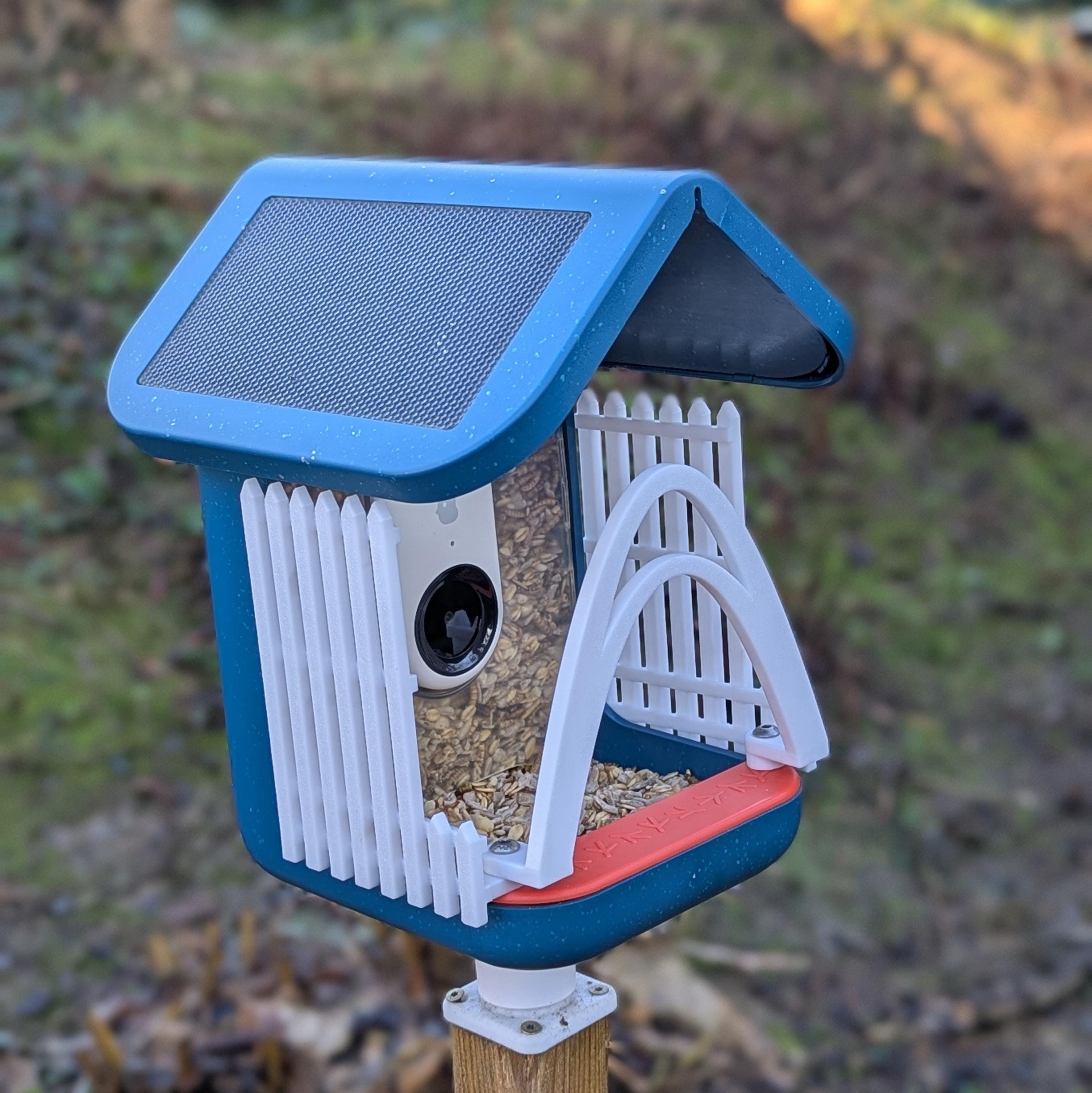 Protection Against Large Birds for the Bird Buddy Birdhouse