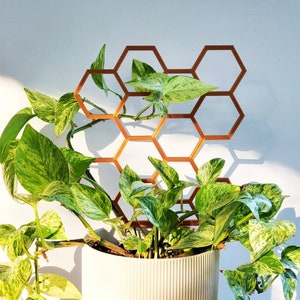 Minimalist Hexagon Houseplant trellis, for indoor plant support, 3D printed, indoor plant stake, indoor gardening