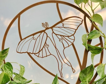 Luna Moth houseplant trellis, For indoor plants, 3D printed, Hoya plant support