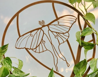 May include: A metal circle with a cutout design of a luna moth. The circle is surrounded by a green plant with variegated leaves.