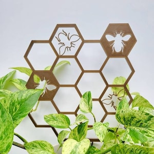 Honeybee Hexagon Houseplant trellis, plant support, 3D printed,  for indoor houseplants,