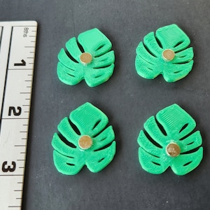 Set of 4 Monstera Leaf magnets, 3D printed, holographic, Houseplant decor image 6