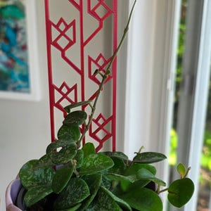 Può includere: Un vaso di ceramica rosa con una pianta verde e un traliccio rosso. Il traliccio presenta un design floreale geometrico. Il testo "Customer Photo" è sul vaso.