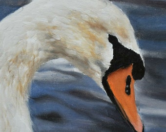Original Oil Painting Portrait Of A Swan By British Artist James Coates Wildlife Art