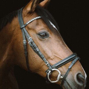 Chestnut Mare DMC Cross Stitch Pattern PDF Download