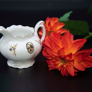 MZ Altrohlau Tschechoslowakei CM-R antikes kleines Milchkännchen, Vintage Porzellan Milchkännchen, feines Porzellan, Vogel Blumendekor, Retro Milchkanne, 1909-1922