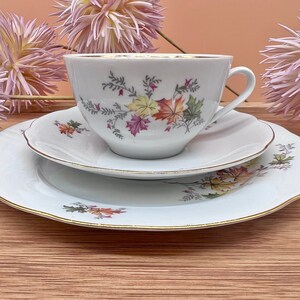 May include: A white teacup and saucer set with a floral pattern of colorful leaves. The set has a gold trim around the edges.
