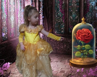 Gorgeous Belle Costume Disney inspired Princess Girl Halloween incl. Free Personalized Picture