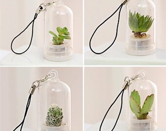Medium Succulent Keychains