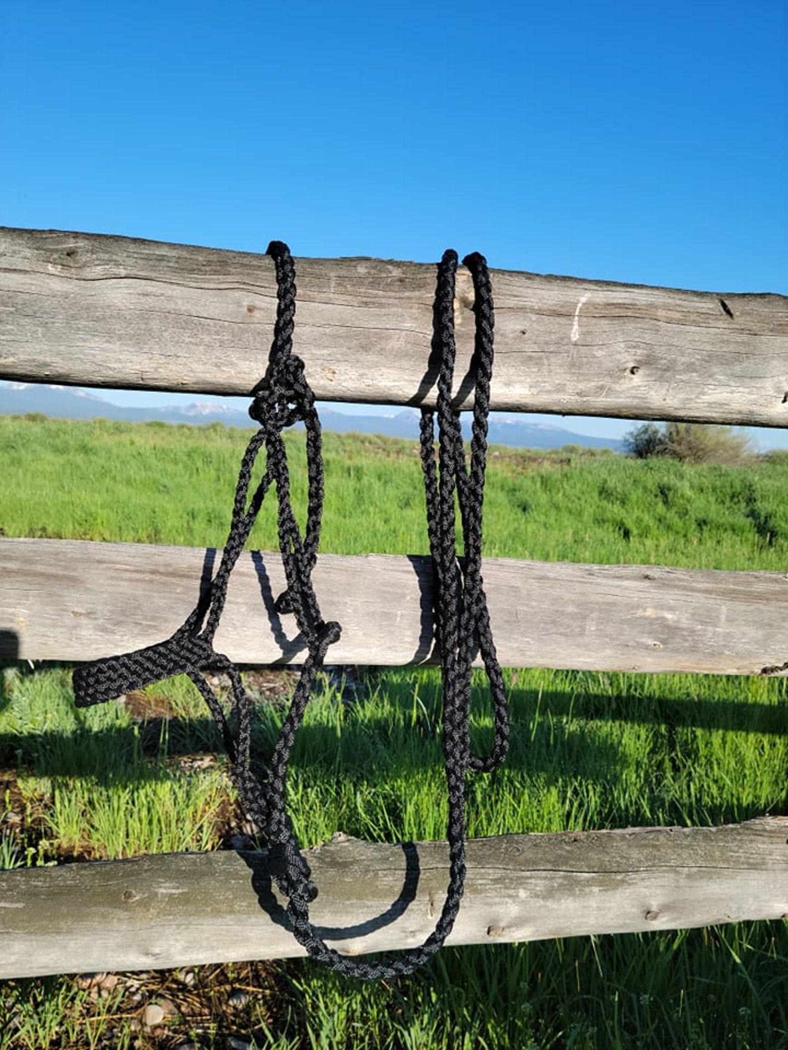 Mule Tape Halters & Leads Etsy