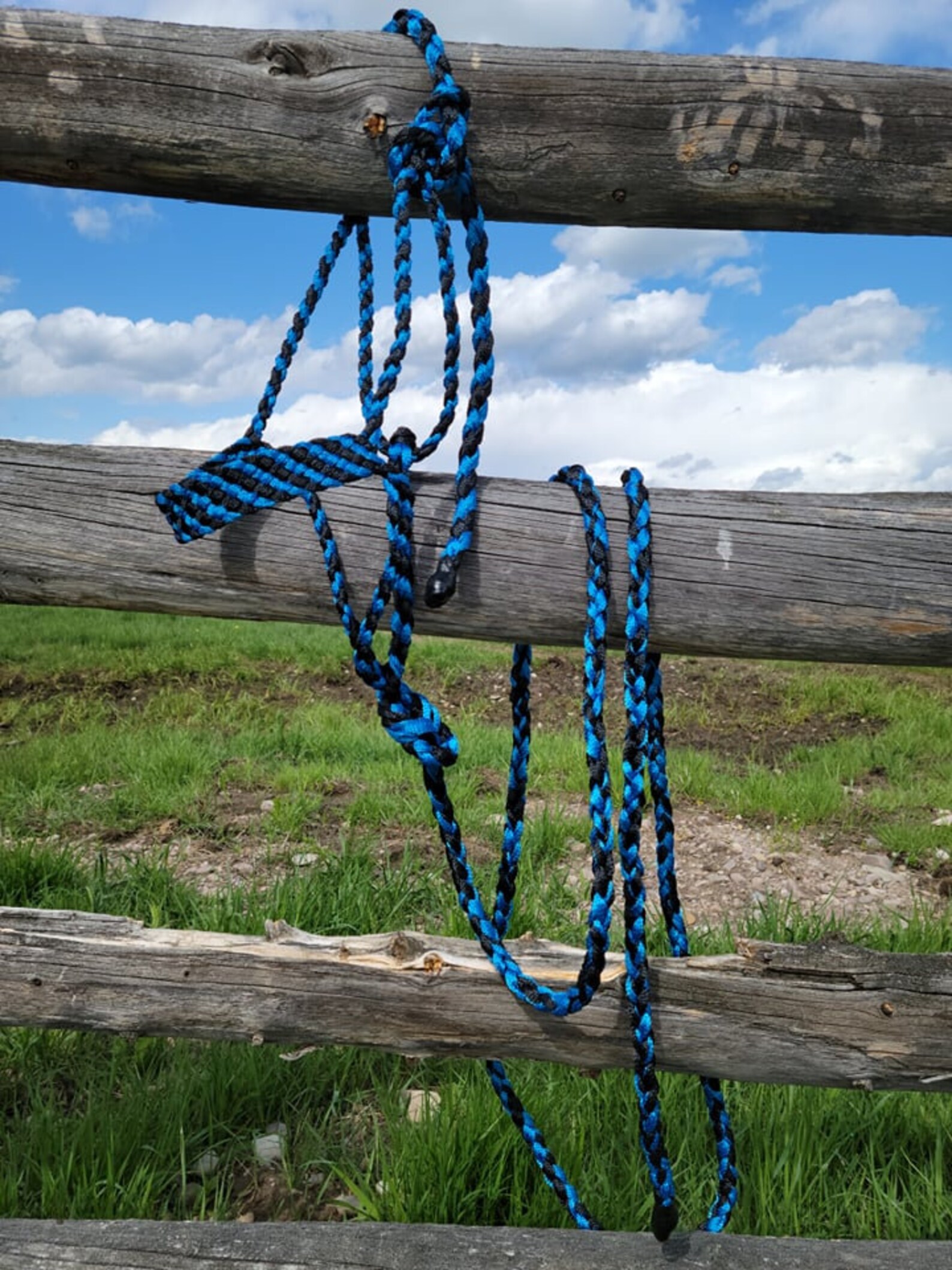 Mule Tape Halters & Leads Etsy