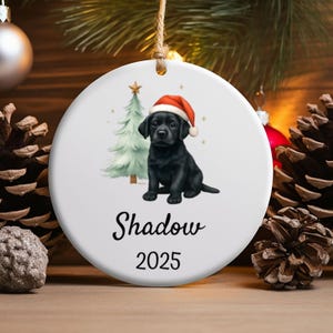 Personalized Pet Ornament, New Dog Ornament, Black Lab Ornament, Custom Dog Ornament, Christmas Lab, 2025 Pet Memory, Gift for Dog Lovers