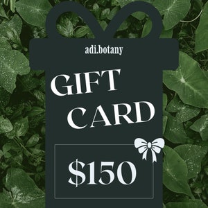 Gift Card 150.00 - Organic Botanical & Herbal Boydcare