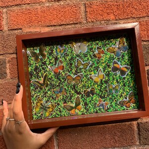 Butterfly Rolling Tray, Holographic Rolling Tray, Butterfly Tray,