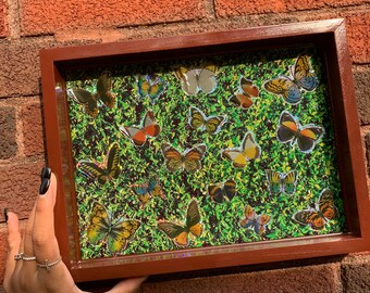 Holographic Butterfly Rolling Tray