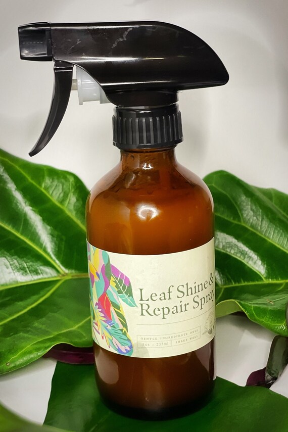 Organic Plant Shine Spray 8 Oz Plant Spray Plant Care Keep Etsy