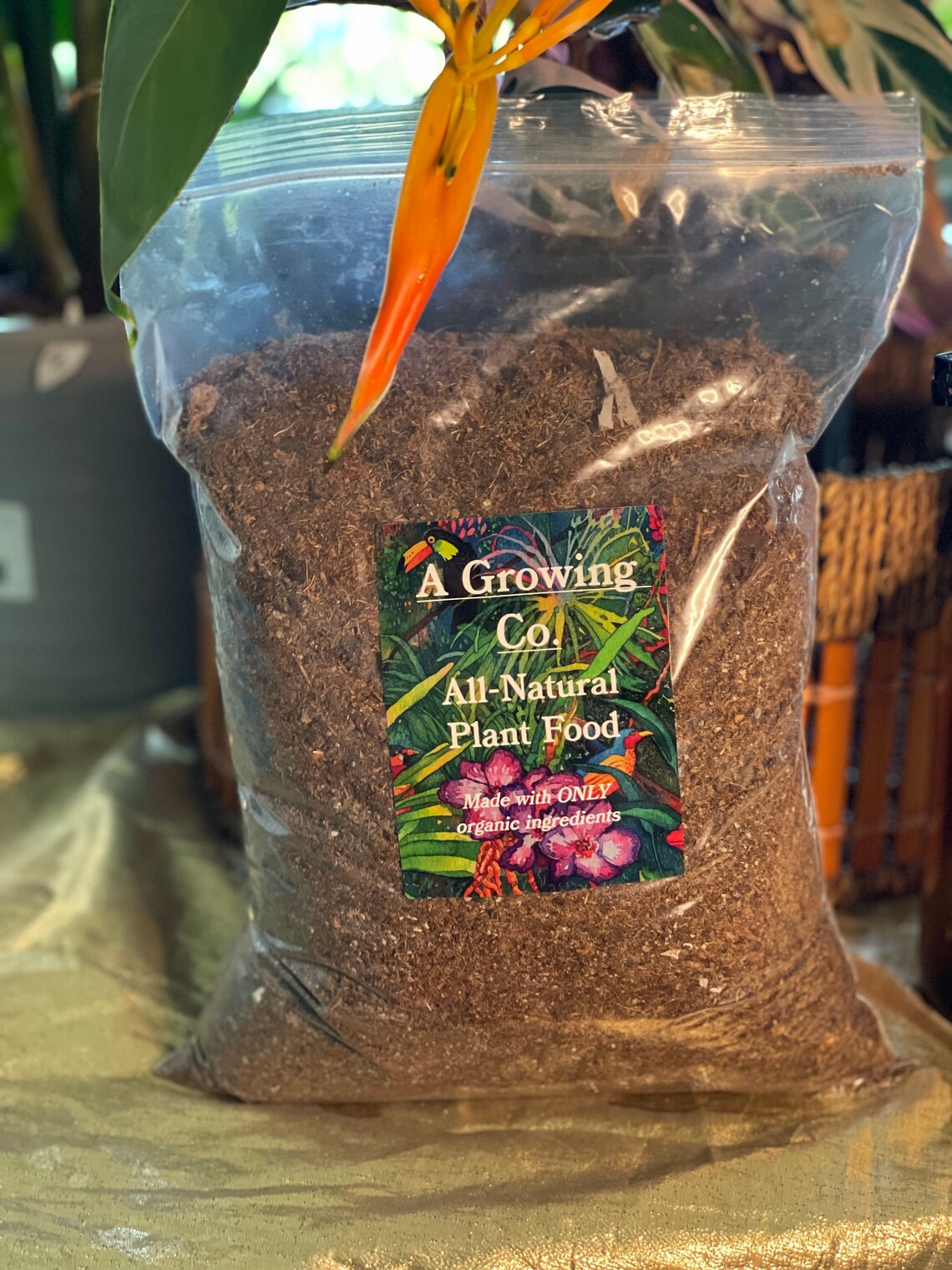 Organic Indoor Plant Fertilizer designed to revive all indoor Etsy