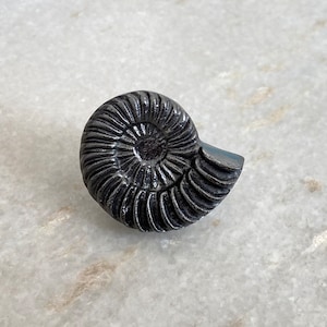 Cast iron Spiral knob, Kitchen cabinet knobs, wardrobe knobs, black cast iron knobs, rustic cast iron knobs, drawer knobs, cabinet pull