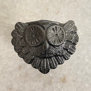 Peut inclure: Un heurtoir de porte en fonte noire en forme de hibou avec des détails élaborés. Le hibou a de grands yeux ronds et un corps texturé.