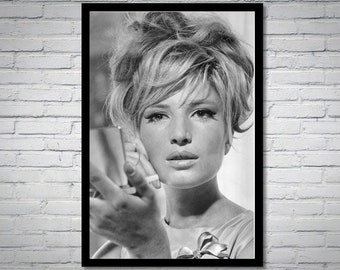 モデスティ・ブレイズ 1966 年 モニカ・ヴィッティ カルト映画ポスター