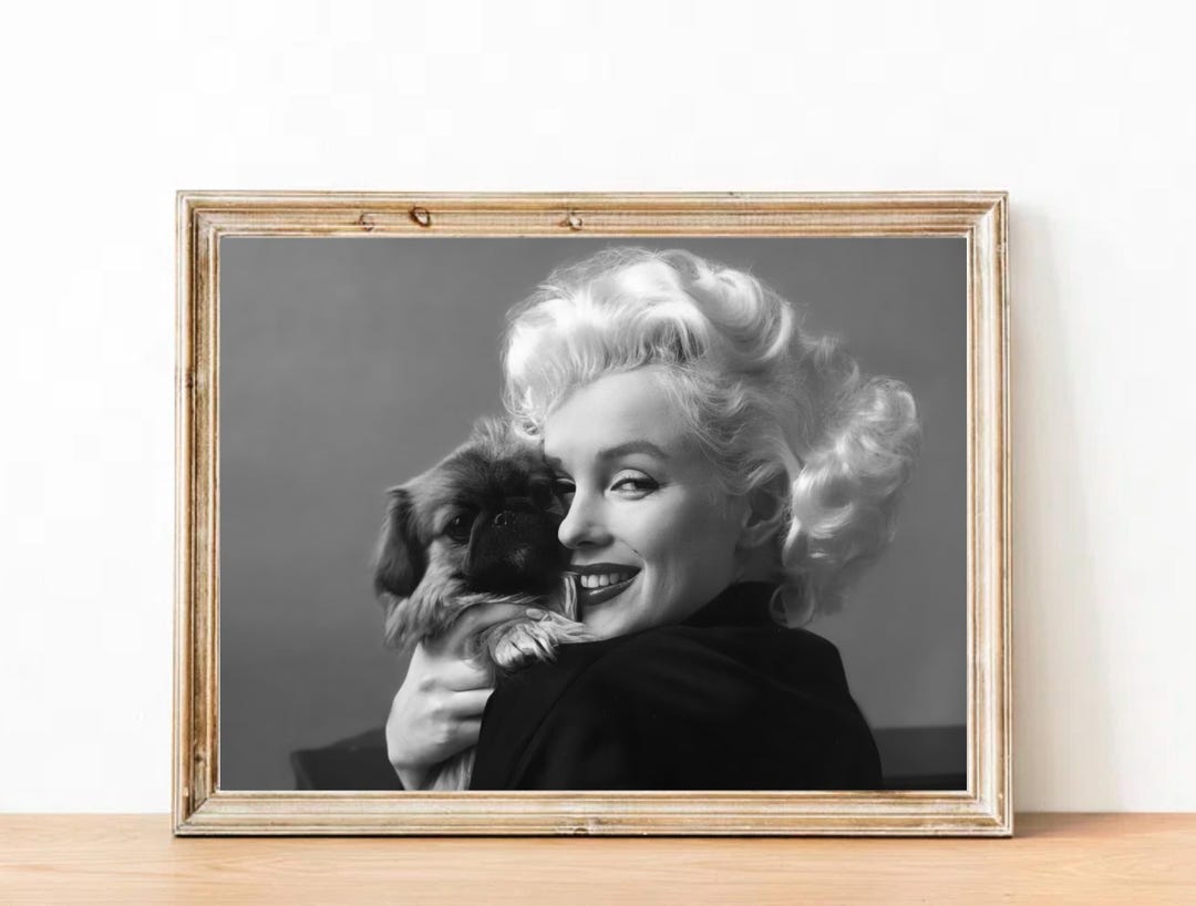 Marilyn Monroe Vintage Photograph - Classic Hollywood Movie Poster - Etsy