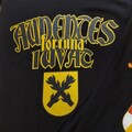 Audentes Fortuna Iuvat / Fortune favors the bold unisex t-shirt - Lords of Leipa version product logo