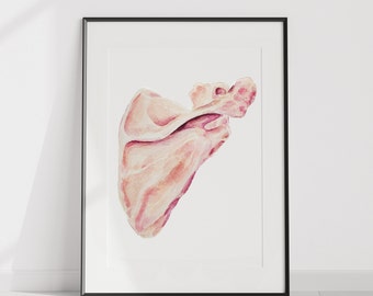 Scapula Watercolor Giclée Print