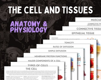 The Cell and Tissues | A&P | 13 page pdf