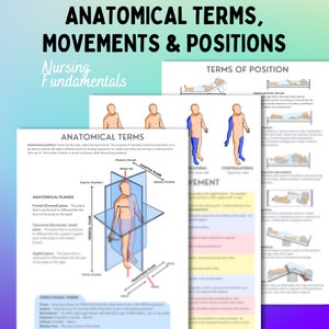 Anatomical terms, movements and positions | 3 page pdf