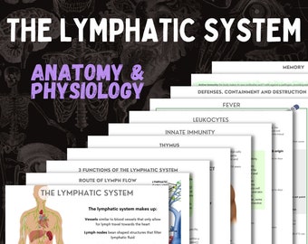 Das Lymphsystem | A&P | 13 Seite Digitaler Download