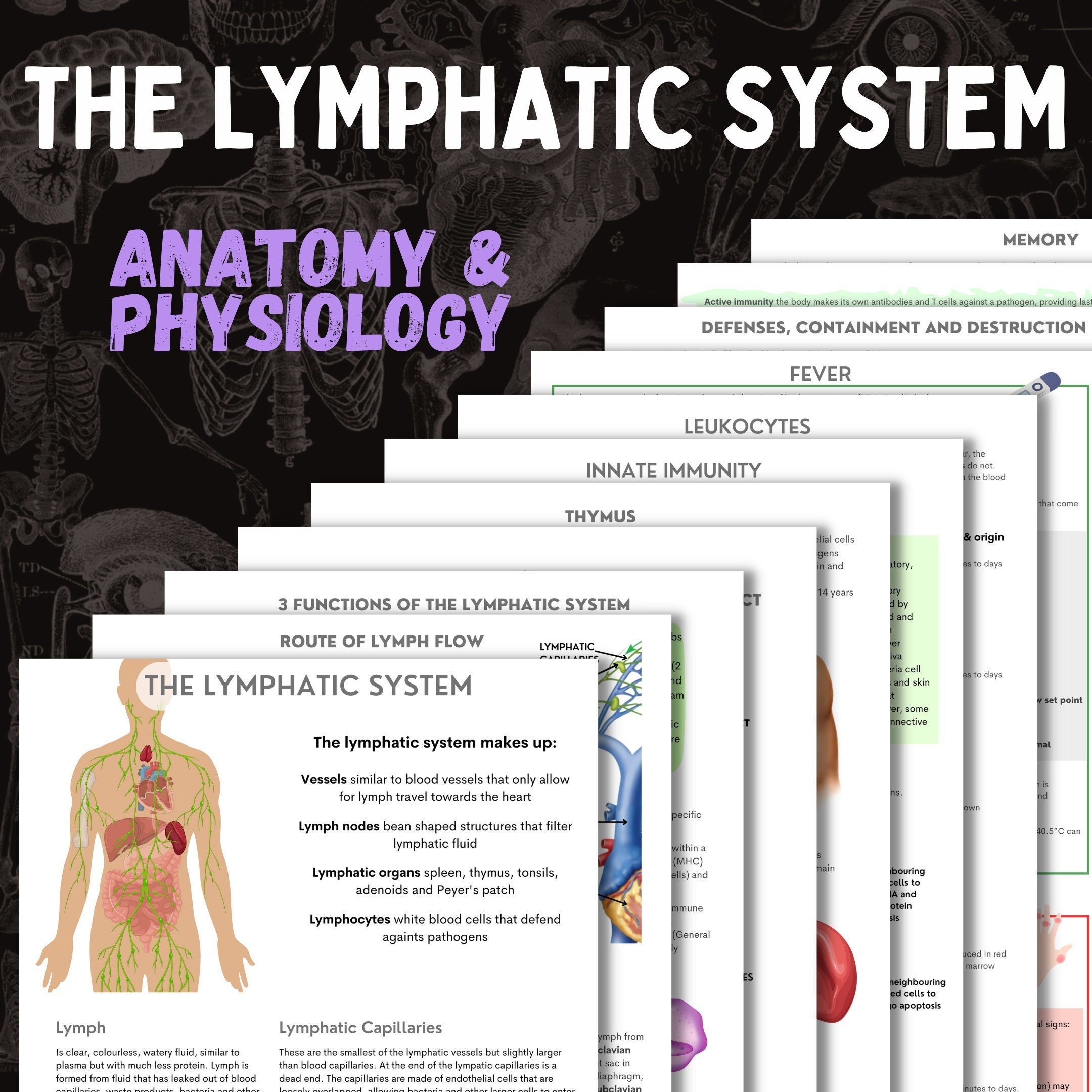 Unlock The Secrets Of Your Lymphatic System! - wokpda0
