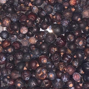Juniper Berries | Organic & Dried