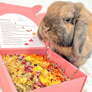 Kaninchenfutterbox : Florale und fruchtige Süße Leckereien