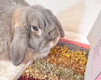 Caja de forraje de hierbas para conejos / Un campo de delicias saludables / Caja de forraje para animales pequeños / Caja de forraje Floral Bunny / Caja de forraje Herbaceous Fields