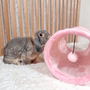 Tunnel met kijkgaatje: verrijkend speelgoed voor kleine huisdieren en katten