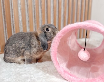 Bunny Tunnel with Peep Hole: Enrichment Toy for Small Pets and Cat