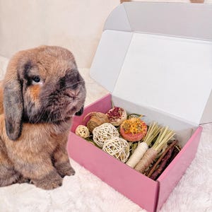 Kaninchen Langeweile Box : Kauspielzeug & Leckereien für Kleintiere
